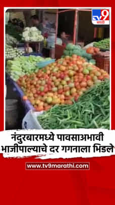नंदुरबारमध्ये पावसाअभावी भाजीपाल्याचे दर गगनाला भिडले-1709934