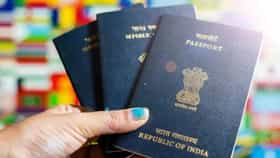 जगातील शक्तिशाली पासपोर्टची यादी जाहीर, नंबर 1 पासपोर्ट कोणाचा?.