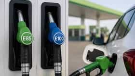 E10, E20 की E85? प्रत्येक कारमध्ये चालणार का सर्व प्रकारचे पेट्रोल?.