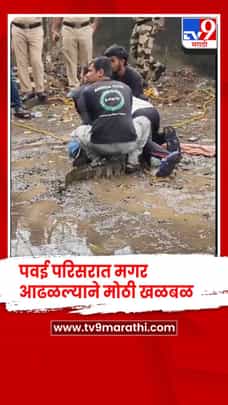 मुंबई - पवई परिसरात मगर आढळल्याने मोठी खळबळ-1706492