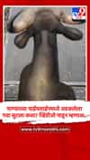 पाण्याच्या पाईपलाईनमध्ये अडकलेला गवा सुटला कसा? व्हिडीओ पाहून म्हणाल...