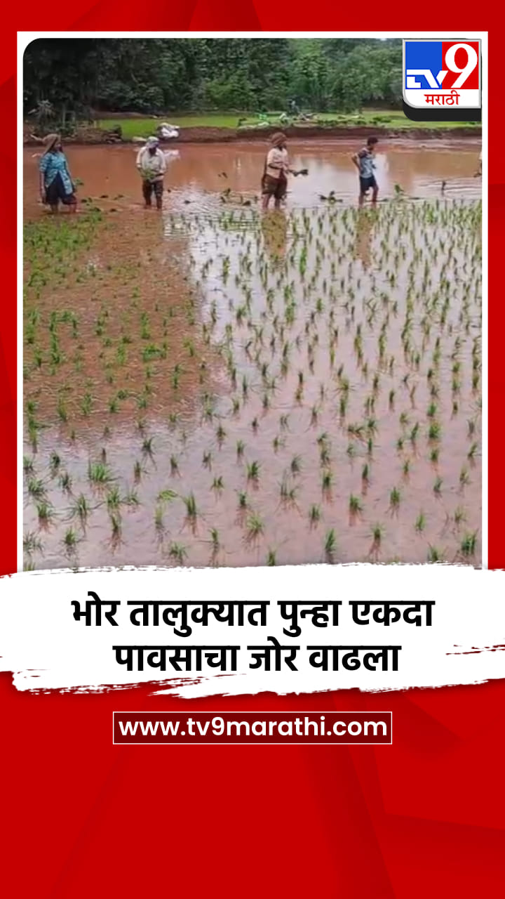 भोर तालुक्यात पुन्हा एकदा पावसाचा जोर वाढला-1718024