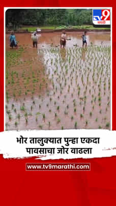 भोर तालुक्यात पुन्हा एकदा पावसाचा जोर वाढला-1718024