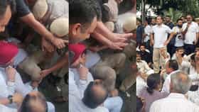 राहुल गांधी खाली पडले, पोलिसांची उचलण्यासाठी धडपड; पाहा व्हिडीओ.