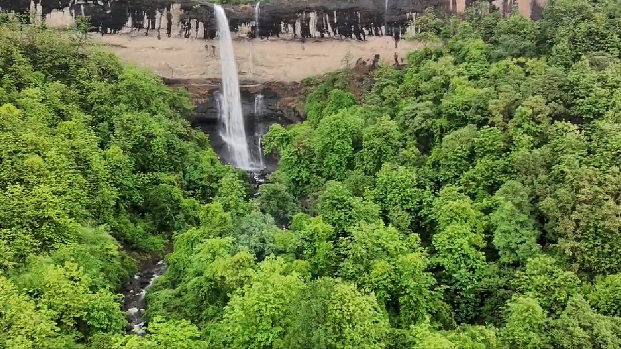 रायगड जिल्ह्यात गेल्या 24 तासांपासून मुसळधार पावसाची संततधार सुरू असून जनजीवनावर त्याचा परिणाम जाणवू लागला आहे. जिल्ह्यातील नद्या ओढे आणि धबधबे पावसामुळे तुडुंब भरून वाहत असून अनेक ठिकाणी निसर्गाने मनमोहक रूप धारण केले आहे.