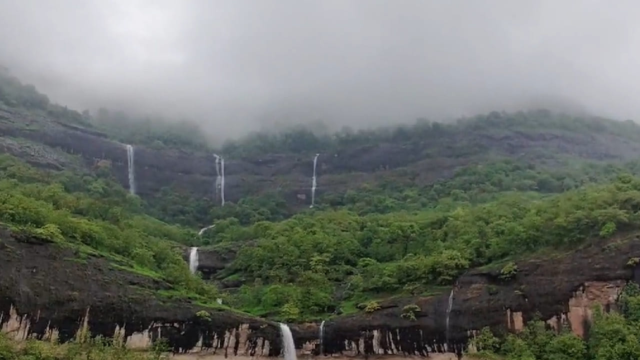 या पावसामुळे जिल्ह्यातील विविध पर्यटनस्थळांवरील धबधबे पुन्हा एकदा प्रवाहित झाले आहेत. सुधागड तालुक्यातील प्रसिद्ध धपकी धबधबा सध्या पूर्ण क्षमतेने कोसळत असून त्याचे विहंगम दृश्य पर्यटकांचे लक्ष वेधून घेत आहे.