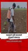 पावसाने दडी मारल्याने शेतकरी संकटात
