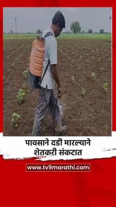 पावसाने दडी मारल्याने शेतकरी संकटात-1722171