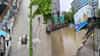Mumbai Rain Updates : लिफ्ट बंद, लाईटही गुल; धुवांधार पावसामुळे कोट्यवधीच्या घरात मुंबईकर 'कैद'