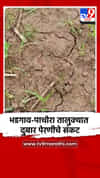 दहा दिवसांपासून पावसाची दडी; भडगाव-पाचोरा तालुक्यात दुबार पेरणीचे संकट