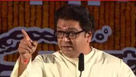 मी फुसक्या सापांबद्दल..., भाजप आमदार राज ठाकरेंबद्दल काय म्हणाला.