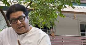 राज ठाकरेंच्या घरात माकडांचा धुमाकूळ; नेमकं काय घडलं?.