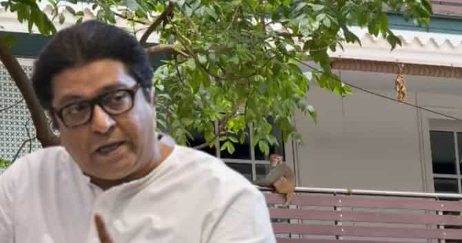 Raj Thackeray House Monkey: राज ठाकरेंच्या घरात माकडांचा धुमाकूळ; अग्निशमन दलाचे जवान मदतीला,नेमकं काय घडलं?