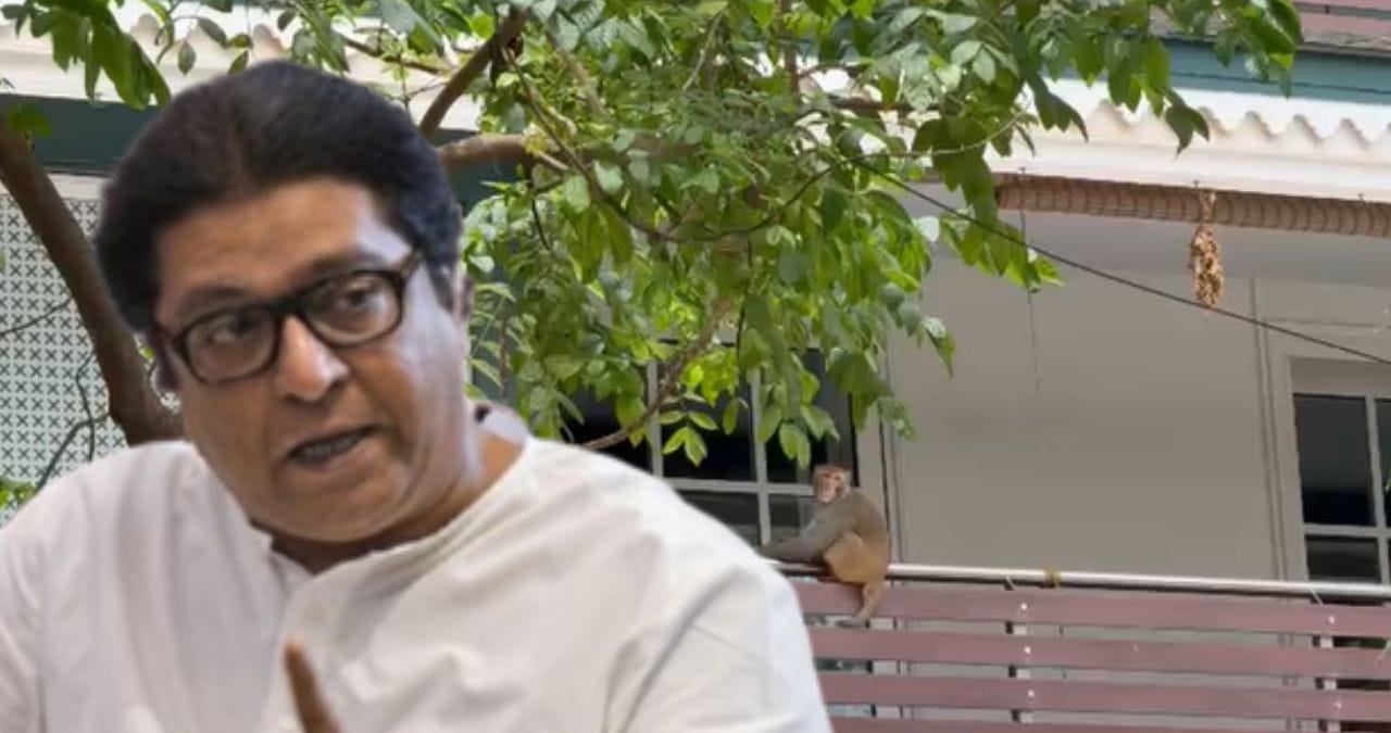 Raj Thackeray House Monkey: राज ठाकरेंच्या घरात माकडांचा धुमाकूळ; अग्निशमन दलाचे जवान मदतीला,नेमकं काय घडलं? Raj Thackeray House Monkey: राज ठाकरेंच्या घरात माकडांचा धुमाकूळ; अग्निशमन दलाचे जवान मदतीला,नेमकं काय घडलं?