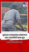धुवाधार पावसानंतर कोकणात भात लावणीची काम सुरू