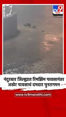 नंदुरबार जिल्ह्यात रिमझिम पावसानंतर अखेर पावसाचं दमदार पुनरागमन-1723771