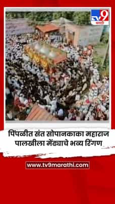 पिंपळीत संत सोपानकाका महाराज पालखीला मेंढ्याचे भव्य रिंगण-1714801