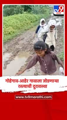 गोहेगाव-आहेर गावाला जोडणाऱ्या रस्त्याची दुरावस्था-1716318