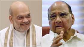 पवार-शहांमध्ये अशी डील ज्यामुळे अजितदादा गटाला फुटला घाम; दावा काय?.