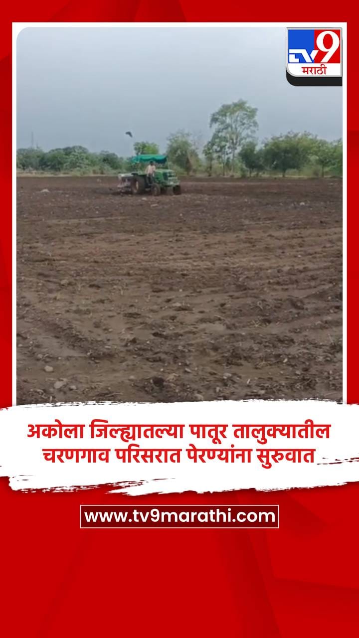 अकोला जिल्ह्यातल्या पातूर तालुक्यातील चरणगाव परिसरात पेरण्यांना सुरुवात-1701981
