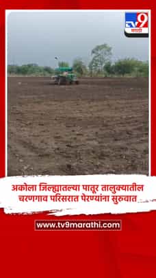 अकोला जिल्ह्यातल्या पातूर तालुक्यातील चरणगाव परिसरात पेरण्यांना सुरुवात-1701981
