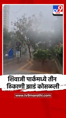 शिवाजी पार्कमध्ये तीन ठिकाणी झाडं कोसळली-1704793