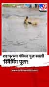 शहापूरच्या गोठेघर पुलाखाली 'स्विमिंग पूल'! प्रशासनाच्या निष्क्रियतेचा तरुणाचा अंघोळ करत अनोखा निषेध