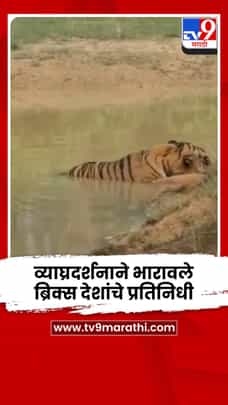 ताडोबा-अंधारी व्याघ्र प्रकल्पातील संस्मरणीय व्याघ्रदर्शनाने भारावले ब्रिक्स देशांचे प्रतिनिधी-1710435