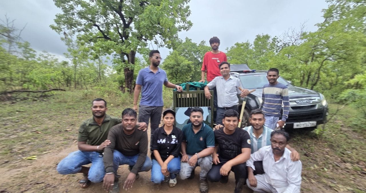 अवघ्या १५ मिनिटांत वाघीण बेशुद्ध झाली. त्यानंतर तिला त्याच पिंजऱ्यातून नागपूर येथील ट्रान्झिट ट्रिटमेंट सेंटरमध्ये हलवण्यात आले. सध्या वैद्यकीयदृष्ट्या वाघीण सुदृढ आहे. आत तिच्याबाबत वनविभाग निर्णय घेईल, असे सांगण्यात आलं आहे.