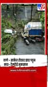 ठाणे :  साकेत रोडवर झाड पडून कार- टेम्पोचे नुकसान