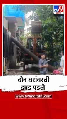 पावसाचा कहर, ठाण्यात घरावर पडले झाड-1705187