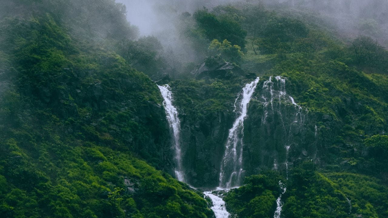 पावसाळ्यात भारतातील या नयनरम्य सुंदर ठिकाणांना द्या भेट पावसाळ्यात भारतातील या नयनरम्य सुंदर ठिकाणांना द्या भेट
