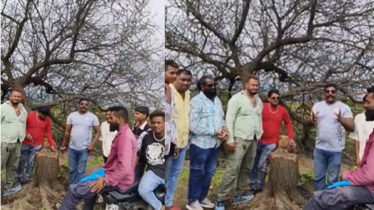 एका साध्या काटेरी बाभळीच्या झाडाने सोशल मीडियाच्या माध्यमातून लाखो लोकांच्या भावविश्वात स्थान मिळवले. त्याच्या तोडीनंतर उमटलेल्या प्रतिक्रिया पर्यावरण संवर्धनाबाबत वाढती जागरूकता आणि निसर्गाशी असलेले भावनिक नाते अधोरेखित करत असल्याचे दिसून येत आहे.