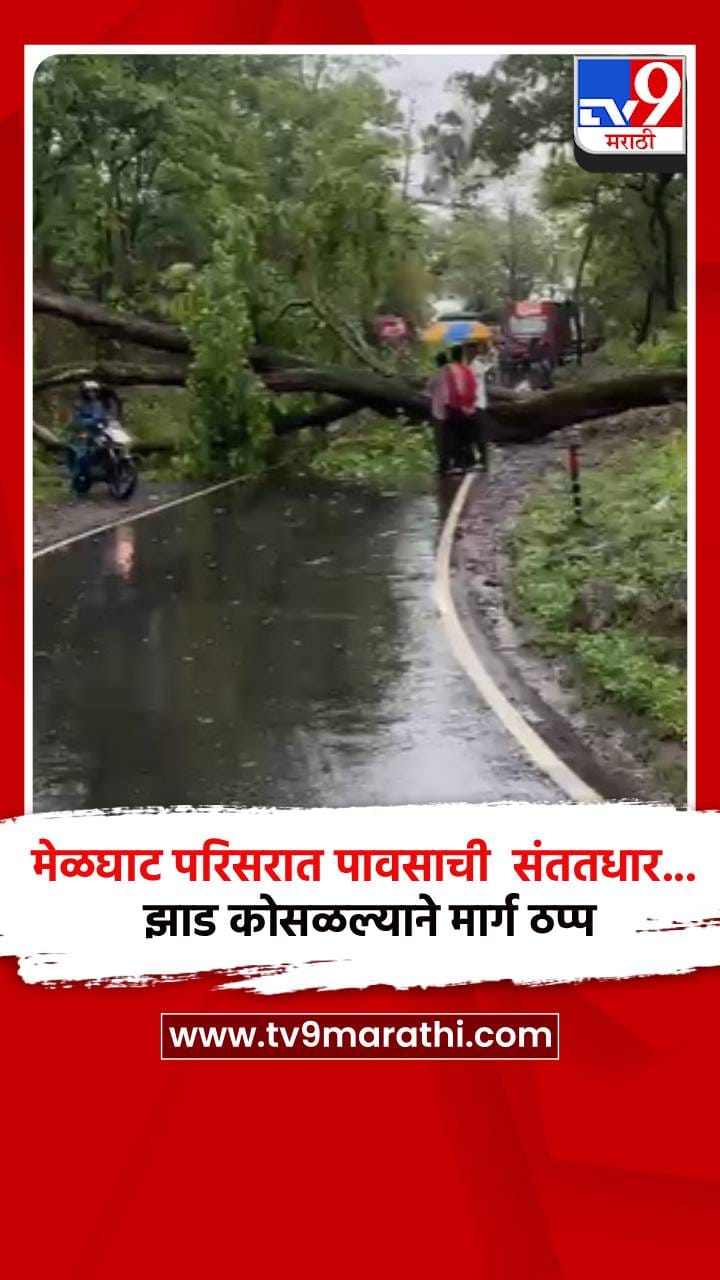 मेळघाट परिसरात पावसाची संततधार... झाड कोसळल्याने मार्ग ठप्प-1704316