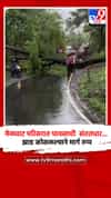 मेळघाट परिसरात पावसाची संततधार... झाड कोसळल्याने मार्ग ठप्प