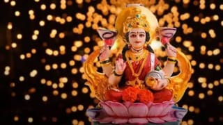 ‘हे’ फुल झाड लक्ष्मी मातेचं आहे प्रतिक, घरात लावल्याबरोबरच वाढते आर्थिक समृद्धी आणि सकारात्मकता