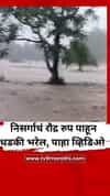 River Flood Video : निसर्गाचं रौद्र रुप पाहून धडकी भरेल, पाहा व्हिडिओ