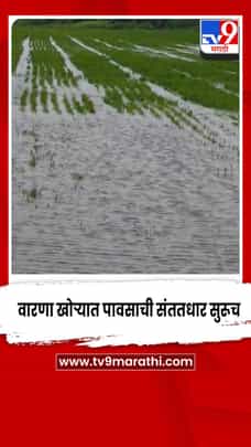 सांगली - वारणा खोऱ्यात पावसाची संततधार सुरूच, अनेक छोटे बंधारे गेले पाण्याखाली-1705522