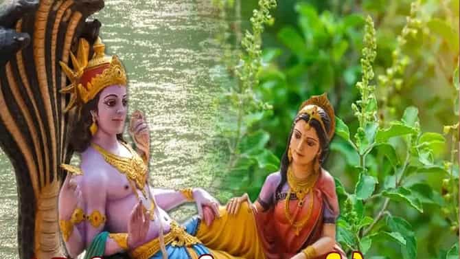 योगिनी एकादशीनिमित्त तुळशीचे हे उपाय, सुख आणि समृद्धीचे उघडतील दरवाजे
