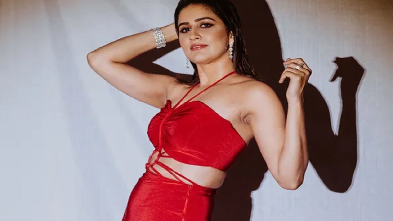 मराठी सिनेमाविश्वात आता वैदेही हिची ओळख मराठीतील कतरिना कैफ अशी आहे. वैदेही हिने मराठी सिनेविश्वात अनेक मालिका आणि सिनेमांमध्ये दमदार भूमिका साकारत चाहत्यांचं मनोरंजन केलं आहे. सोशल मीडियावर देखील ती कायम सक्रिय असते.