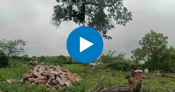 पुण्यात अंत्ययात्रेदरम्यान घडलं भयंकर; पार्थिवाला मुखाग्नी देतानाच सगळे सैरावैरा पळाले, व्हिडिओ व्हायरल