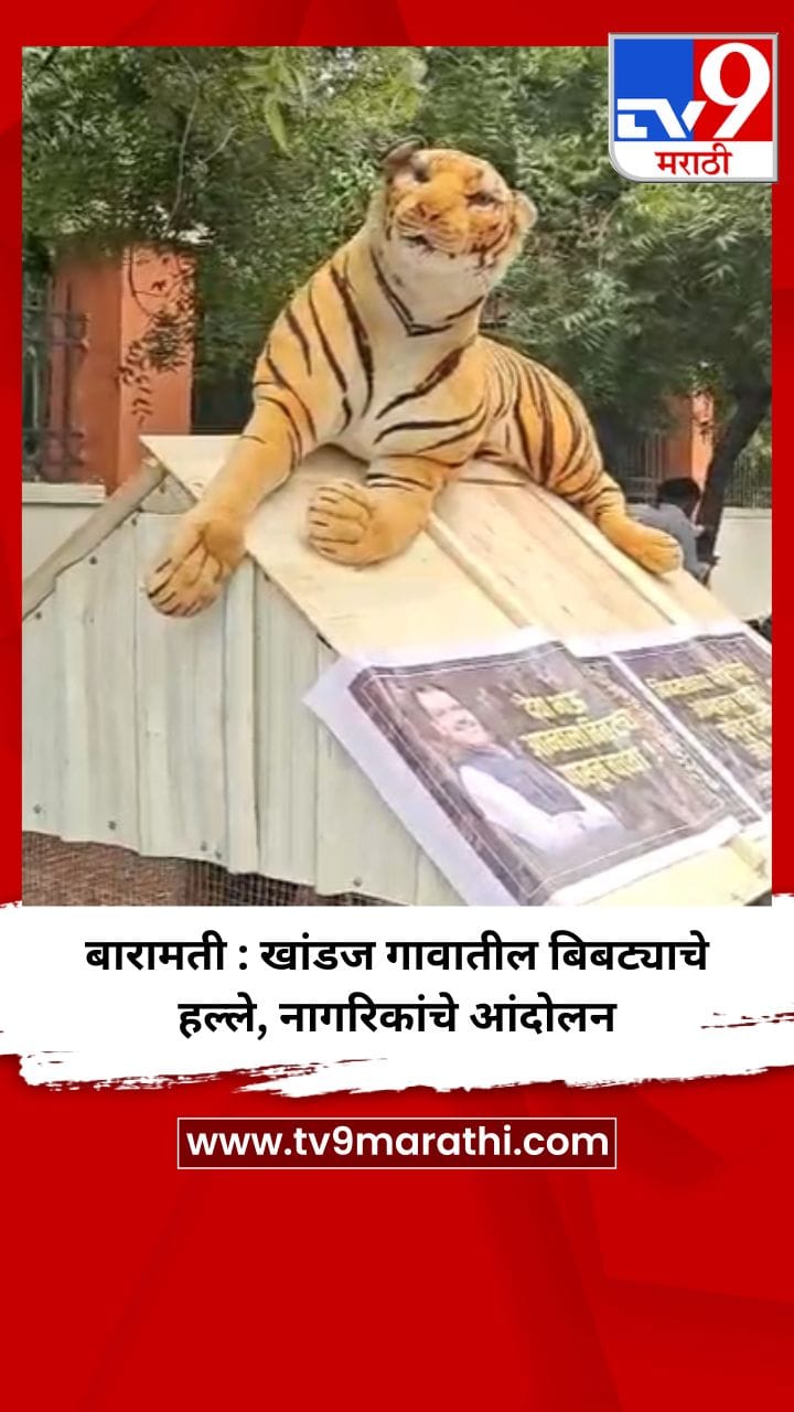 बारामती : खांडज गावातील बिबट्याचे हल्ले, नागरिकांचे आंदोलन-1741119