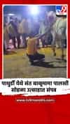 पाथुर्डी येथे संत बाळूमामा पालखी सोहळा उत्साहात संपन्न