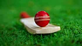धडधाकट पुरुष, पण महिला क्रिकेटमध्ये खेळला! असं कसं झालं? ICC ला समजताच काय घडलं?