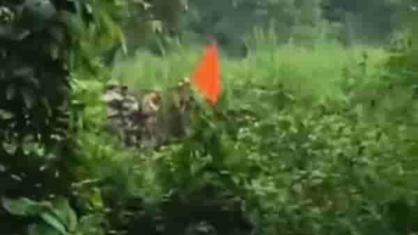 अरुणाचल प्रदेशात 60 किमी आतपर्यंत चिनी सैनिक घुसले? व्हायरल व्हिडिओमागील सत्य समोर