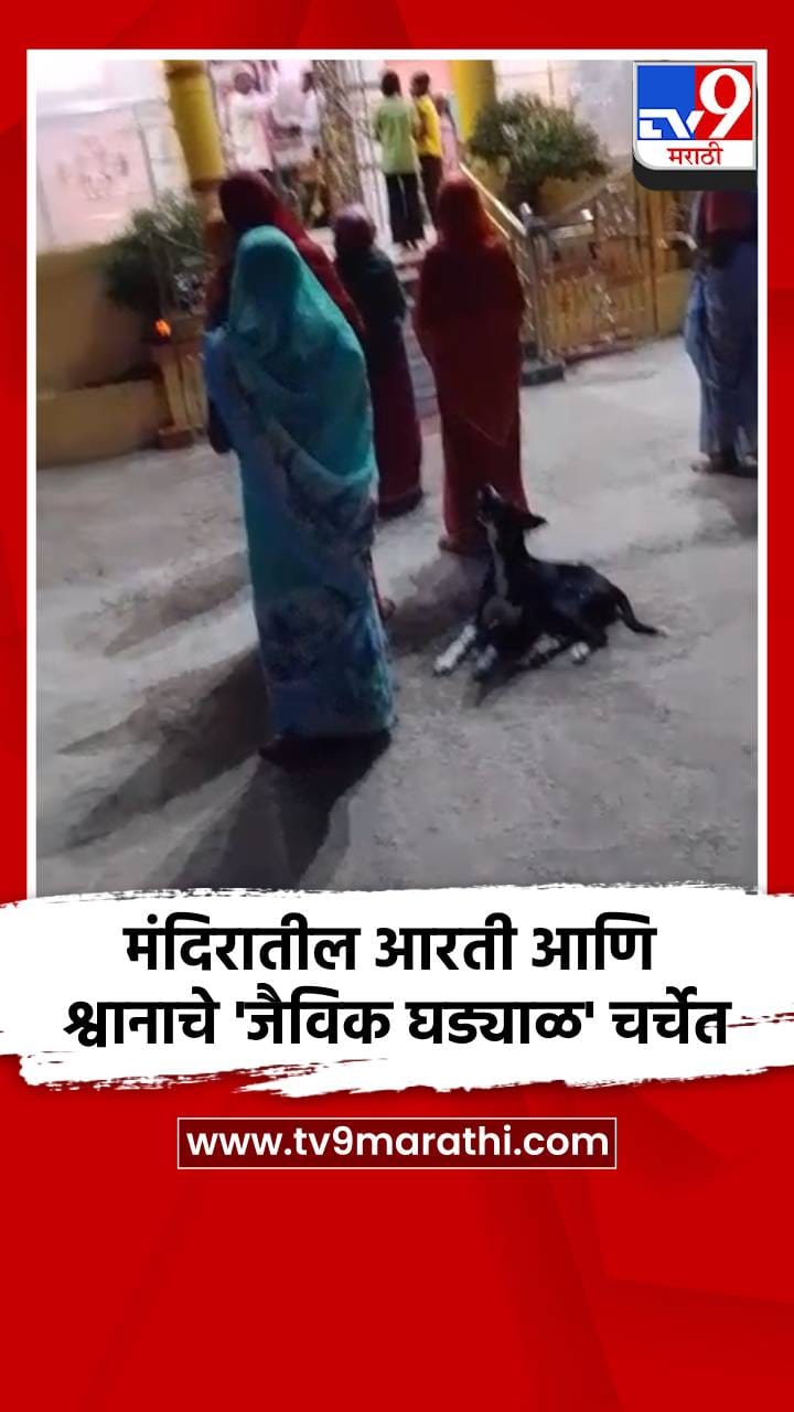 मंदिरातील आरती आणि श्वानाचे 'जैविक घड्याळ' चर्चेत-1743274