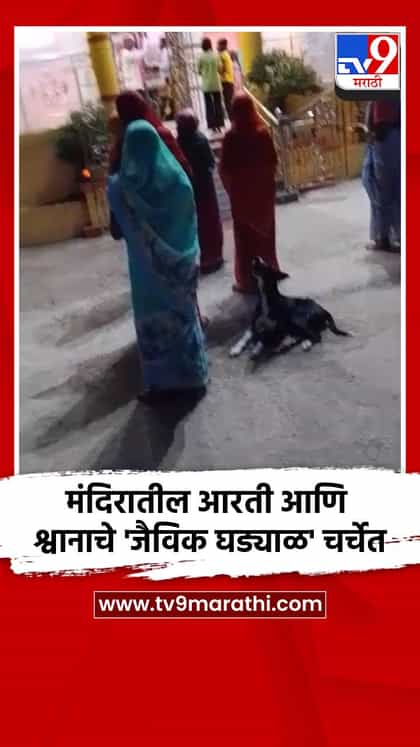 मंदिरातील आरती आणि श्वानाचे 'जैविक घड्याळ' चर्चेत-1743274