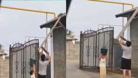 Viral Video : मांजरीला वाचवायला गेली दोन छोटी मुलं, काय घडलं बघा
