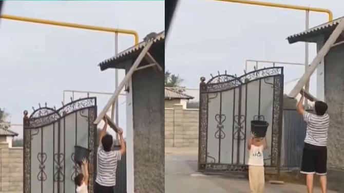 Viral Video : मांजरीला वाचवायला गेली दोन छोटी मुलं, काय घडलं बघा
