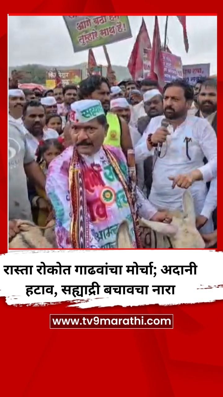 रास्ता रोकोत गाढवांचा मोर्चा; 'अदानी हटाव, सह्याद्री बचाव'चा नारा-1735425